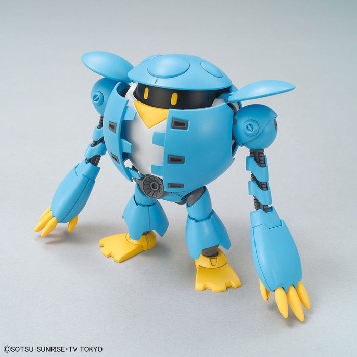 HG Momokapool