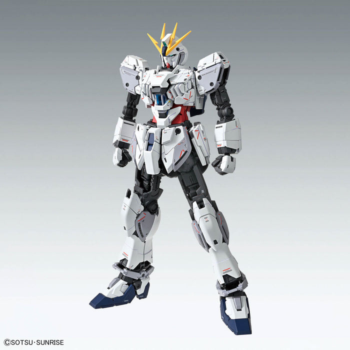 MG Narrative Gundam C-Packs Ver.Ka