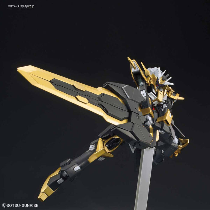 HG Gundam Schwarzritter