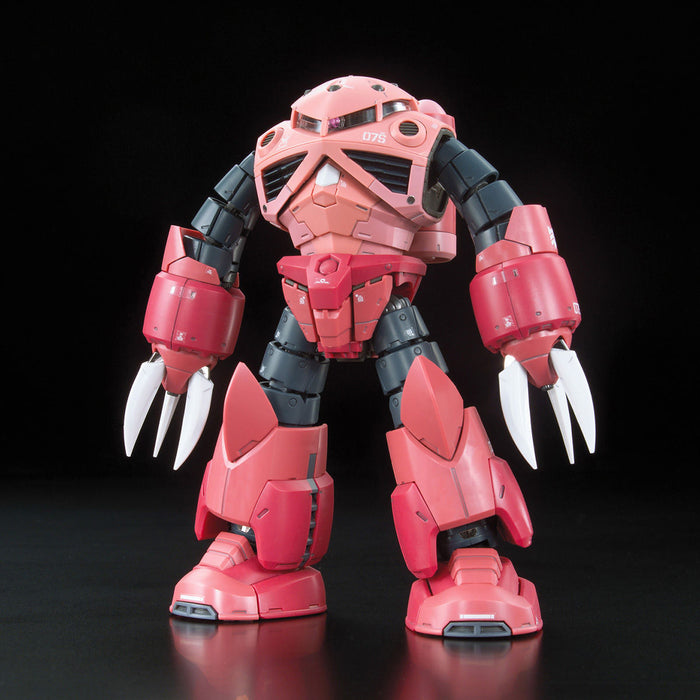 RG Z'Gok Char Aznable Custom