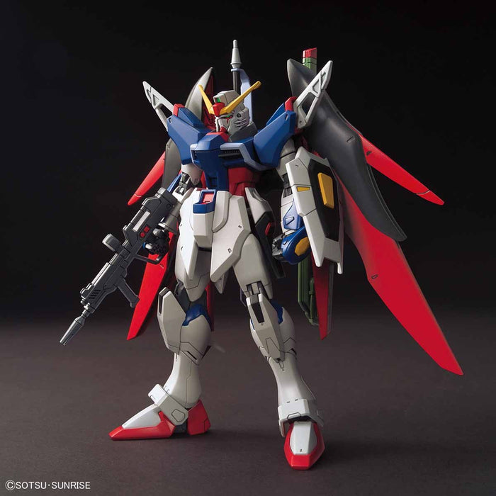 HG Destiny Gundam