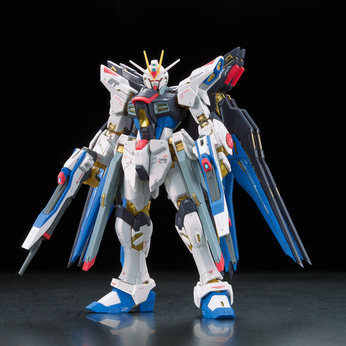 RG Strike Freedom Gundam