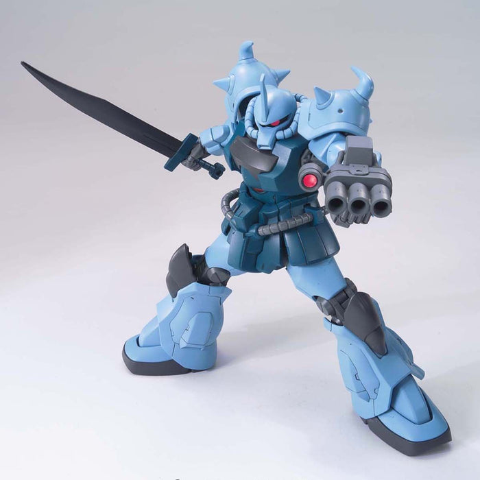 HG Gouf Custom