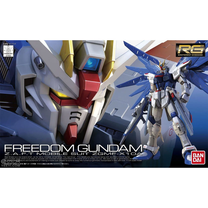 RG Freedom Gundam