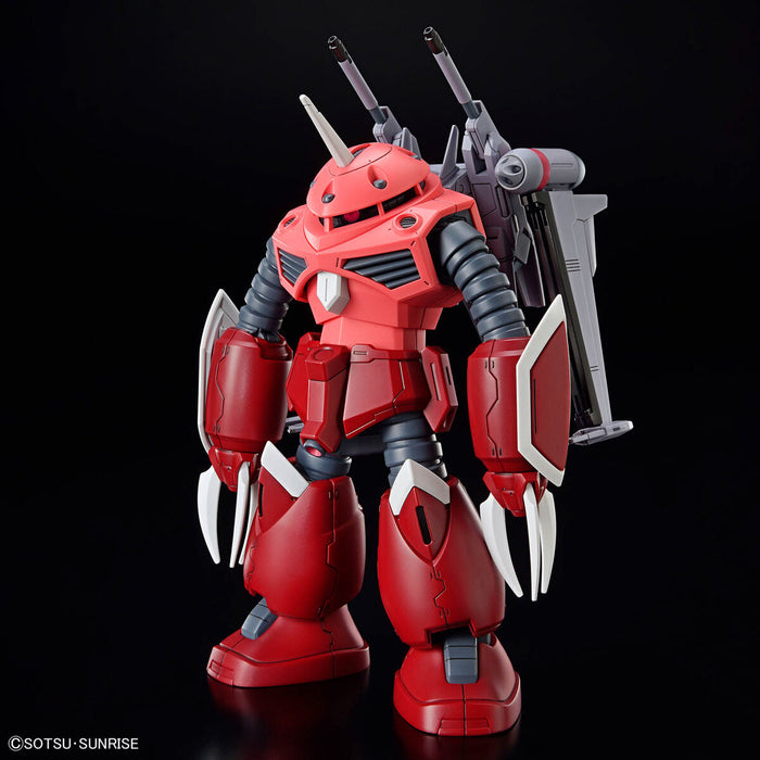 HG Z'Gok (SEED FREEDOM Ver.)