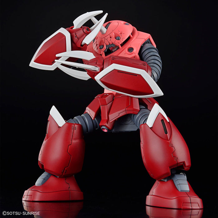 HG Z'Gok (SEED FREEDOM Ver.)