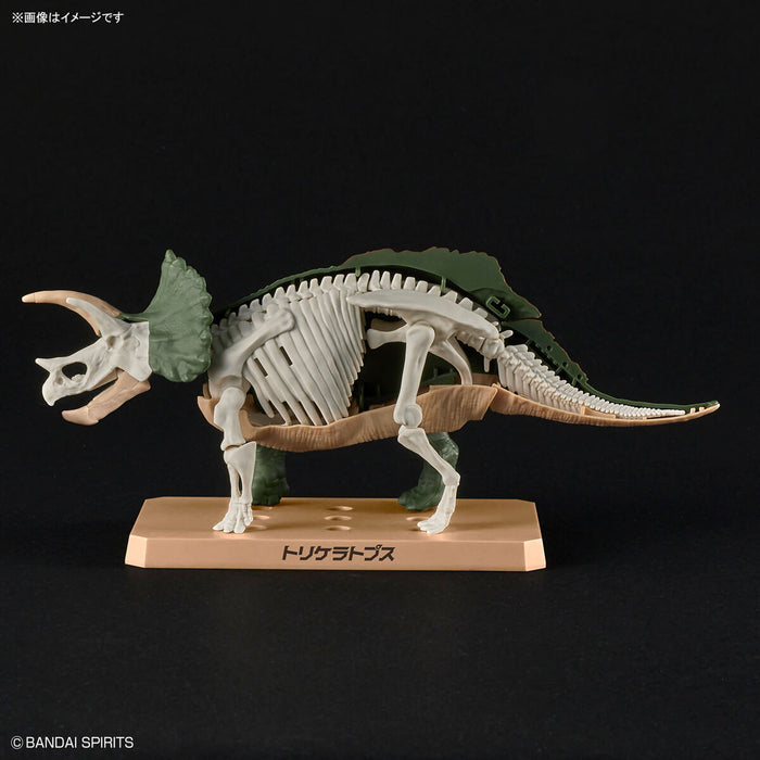 Plannosaurus Triceratops