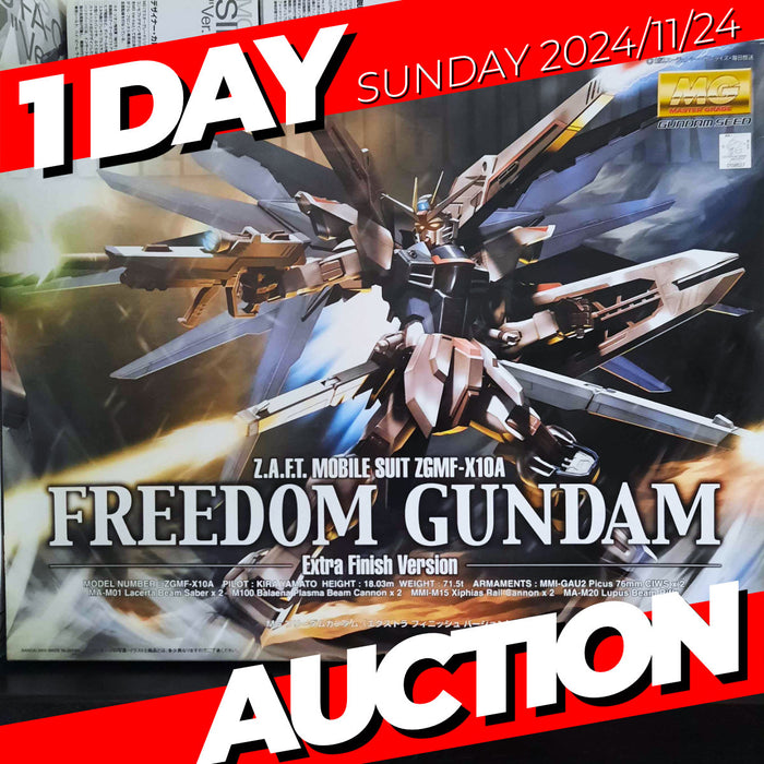 [Rare Pre-owned Auction!] MG Freedom Gundam Extra Finish Version