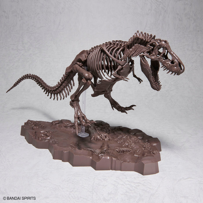 Imaginary Skeleton Tyrannosaurus