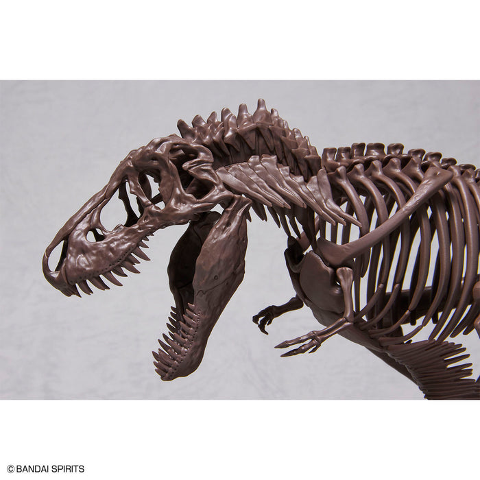 Imaginary Skeleton Tyrannosaurus