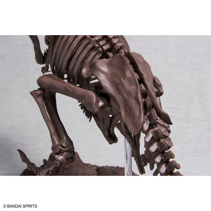 Imaginary Skeleton Tyrannosaurus