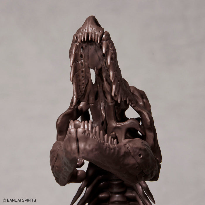 Imaginary Skeleton Tyrannosaurus