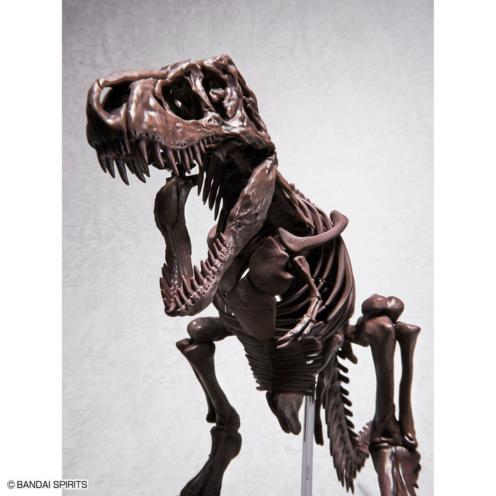 Imaginary Skeleton Tyrannosaurus