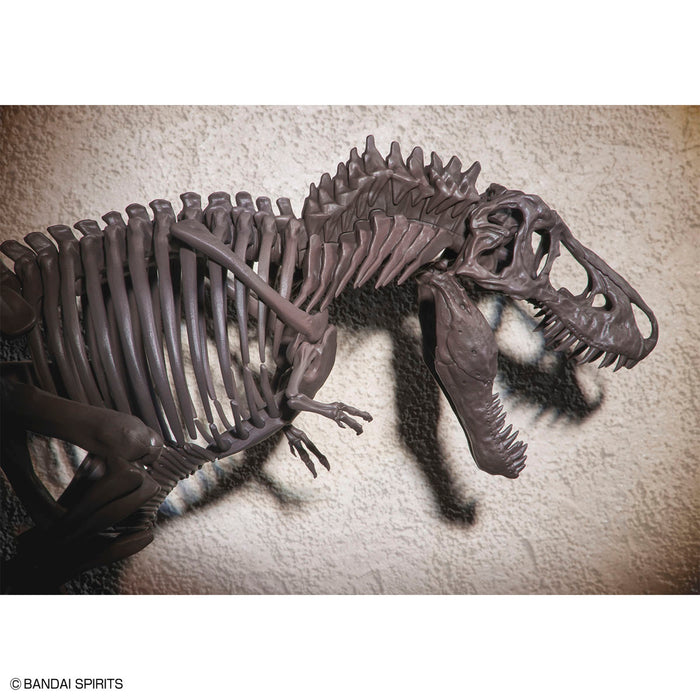 Imaginary Skeleton Tyrannosaurus