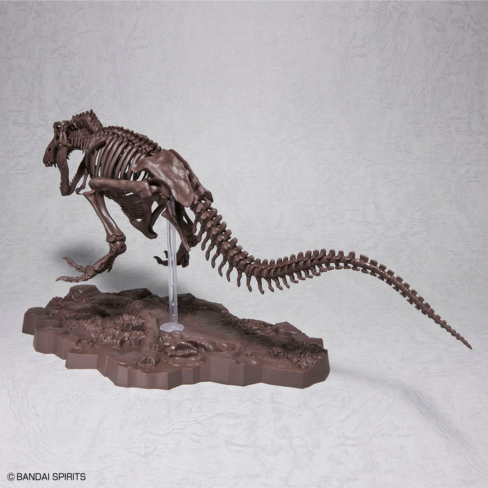 Imaginary Skeleton Tyrannosaurus