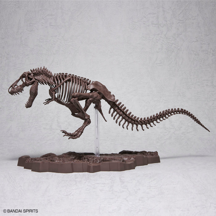 Imaginary Skeleton Tyrannosaurus