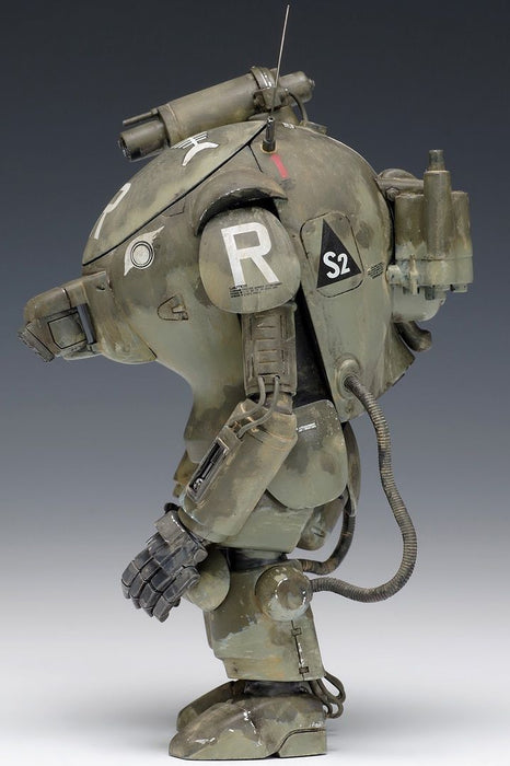 S.A.F.S Type R Raccoon